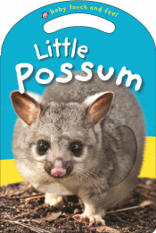 LITTLE POSSUM BOARD BOOK