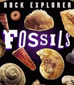 FOSSILS