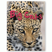 BIG CATS