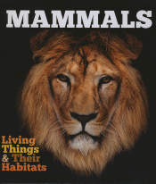MAMMALS