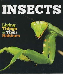 INSECTS