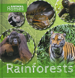RAINFORESTS