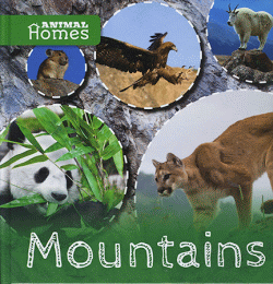 MOUNTAINS