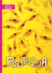 PROTOZOA