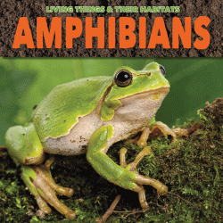 AMPHIBIANS