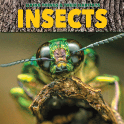 INSECTS