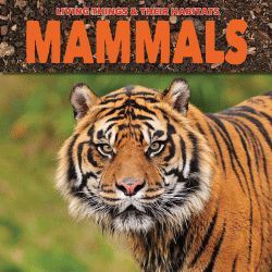 MAMMALS