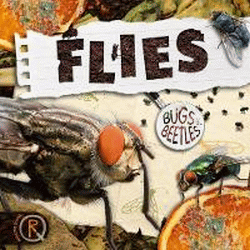 FLIES