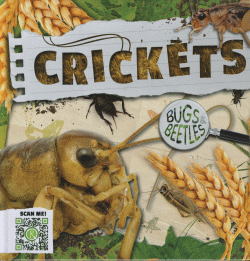 CRICKETS