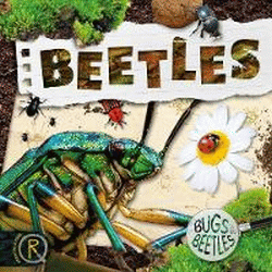 BEETLES