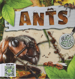 ANTS