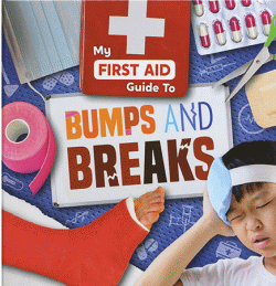 BUMPS AND BREAKS