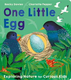 ONE LITTLE EGG BOARD BOOK