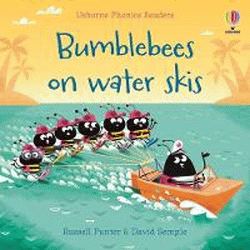 BUMBLEBEES ON WATER SKIS