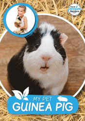 MY PET GUINEA PIG