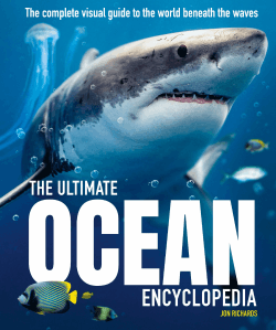 ULTIMATE OCEAN ENCYCLOPEDIA, THE