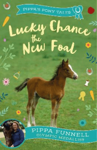 LUCKY CHANCE THE NEW FOAL