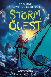 STORM QUEST