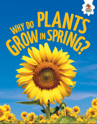 WHY DO PLANTS GROW IN SPRING?