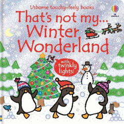 THAT'S NOT MY WINTER WONDERLAND BOARD BOOK