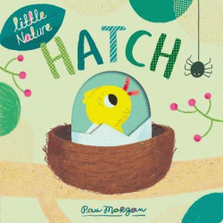 HATCH BOARD BOOK