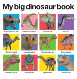 MY BIG DINOSAUR BOOK BOARD BOOK