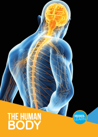 HUMAN BODY, THE