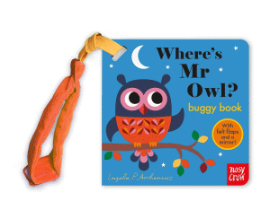 WHERE'S MR OWL BOARD BOOK