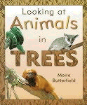 IN TREES