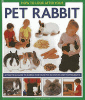 PET RABBIT