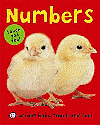 NUMBERS
