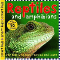 REPTILES AND AMPHIBIANS