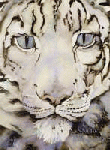 SNOW LEOPARD, THE