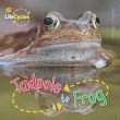 TADPOLE TO FROG