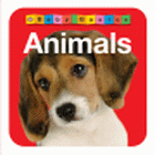 ANIMALS BOARD BOOK