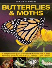 BUTTERFLIES AND MOTHS