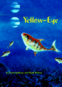 YELLOW-EYE
