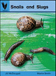 SNAILS AND SLUGS BIG BOOK