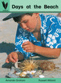 DAYS AT THE BEACH BIG BOOK