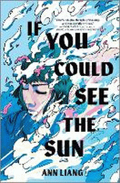 IF YOU COULD SEE THE SUN