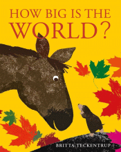 HOW BIG IS THE WORLD?