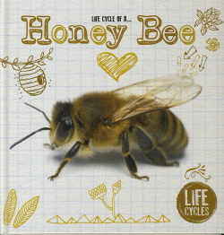 HONEY BEE