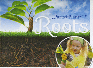 ROOTS
