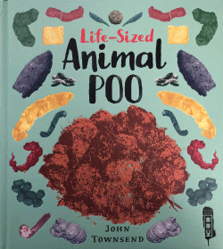 LIFE-SIZED ANIMAL POO