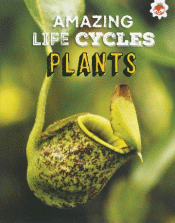 PLANTS