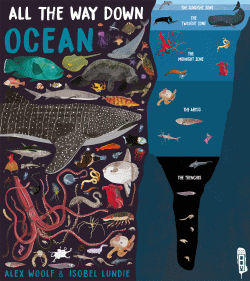 ALL THE WAY DOWN: OCEAN
