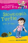 SLOWCOACH TURTLE
