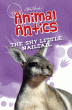 SHY LITTLE NAILTAIL, THE