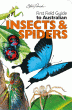 INSECTS AND SPIDERS