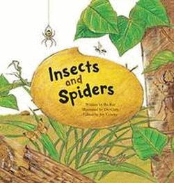 INSECTS AND SPIDERS